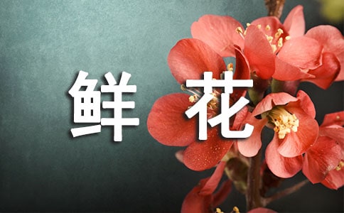 鲜花送给妈妈作文400记叙文