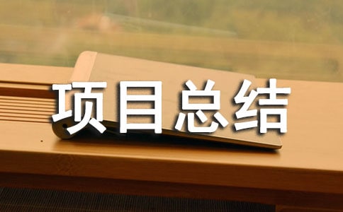 工程项目总结(集合)