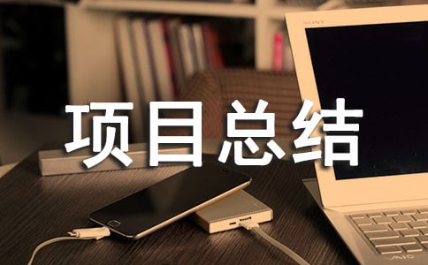 项目总结报告