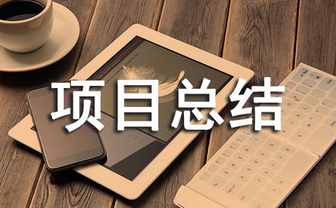 工程项目总结