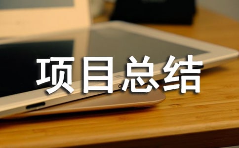 科技项目总结报告