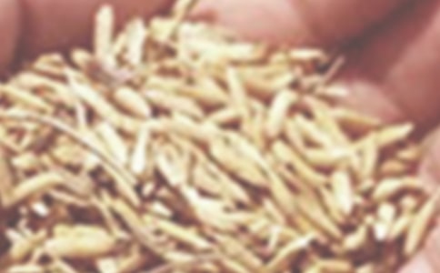 小麦购销合同15篇