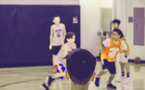 小学生信息技术教学计划