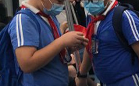 【必备】小学生写景的作文汇总六篇