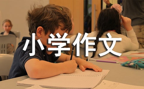 实用的难忘小学作文【合集】