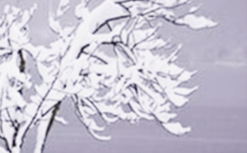 小班游戏教案《小雪花》(通用10篇)