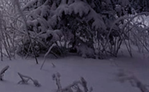 幼儿园小班美术教案:小雪人