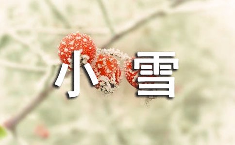 小雪节气社会教案
