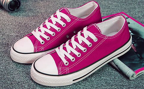 各种各样的鞋子说课稿