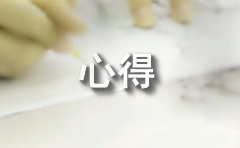 观临漳七子湖社会实践心得