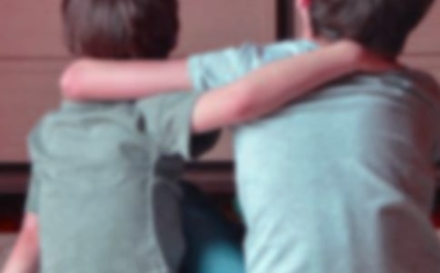 九月九日忆山东兄弟教学反思简短