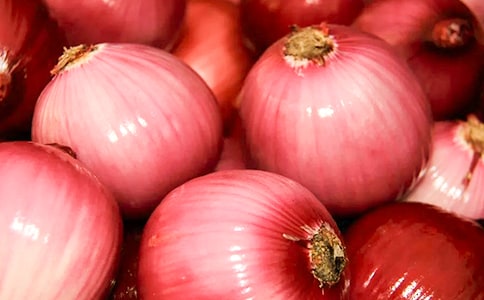 《洋葱头历险记》的读后感