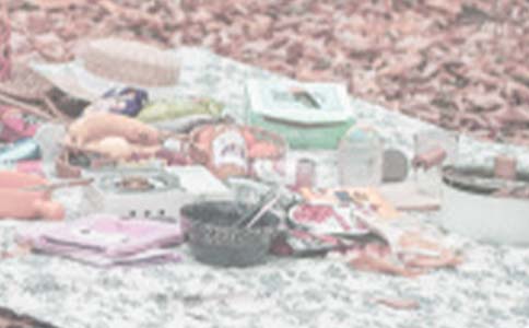 中班健康活动野餐夹物跳教案