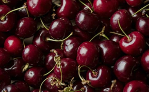 樱桃的说明文15篇