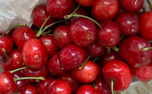 《樱桃沟的春天》读后感