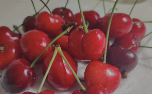 樱桃沟的春天读后感