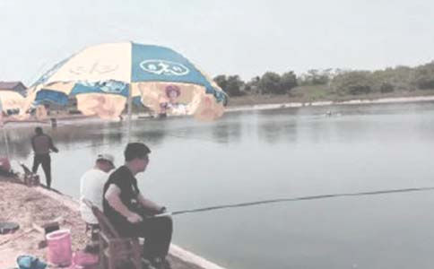 农村鱼塘承包合同 15篇