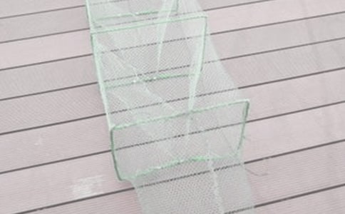 幼儿小班美术课教案《不一样的渔网》