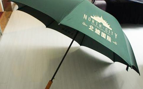 大班语言教案:黄雨伞教案及教学反思