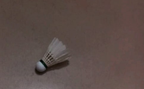 学打羽毛球五年级作文