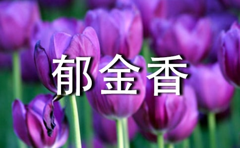 画郁金香教案模板
