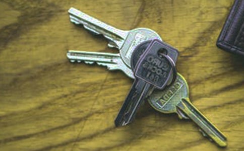 意象与意境:解读诗歌的两把钥匙(网友来稿)