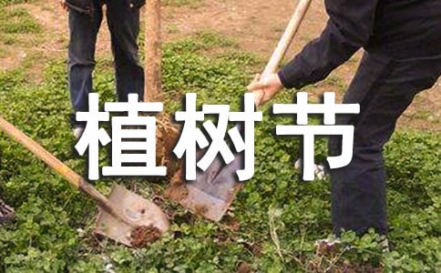单位植树节活动总结范文