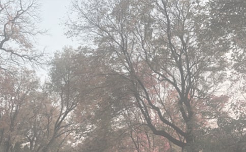 ʫס̰ --ϻ--ڰֲ԰ ̰ѧ