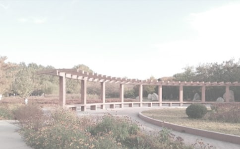 仙湖植物园的作文