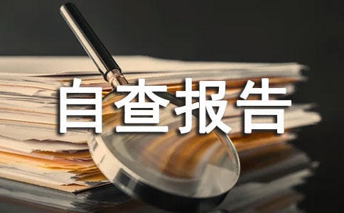企业自查报告范文