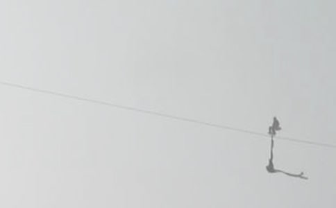 冒险小子走钢丝大班科学教案