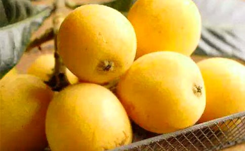 大班美术教案:水墨画枇杷