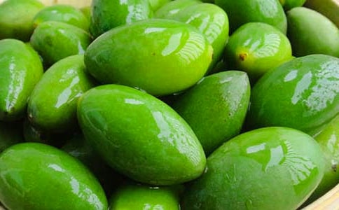 白色橄榄树读后感