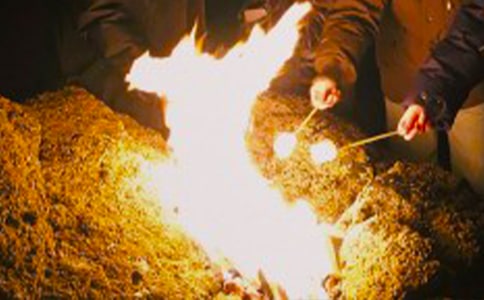 篝火晚会优秀主持词