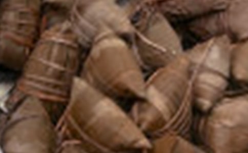 大班语言《粽子里的故事》