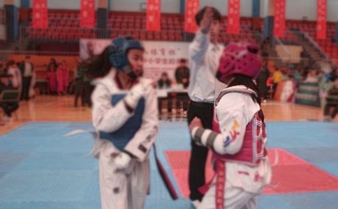 (精)跆拳道教学计划