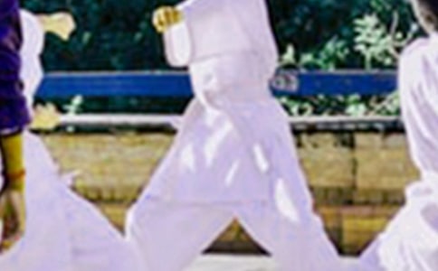 最新跆拳道教学计划5篇