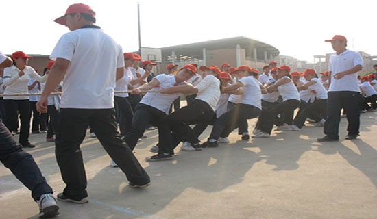 【精品】拔河小学作文300字五篇